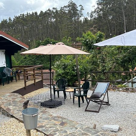 Mimosa Village - Turismo De Natureza Mortágua Exteriör bild